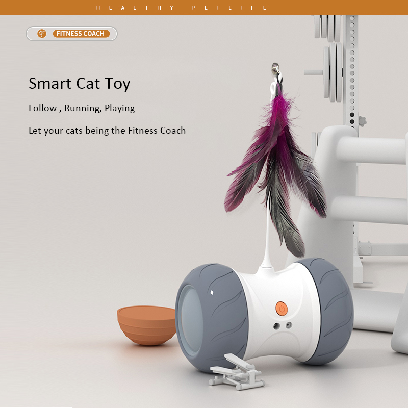 Pet Interactive Toys