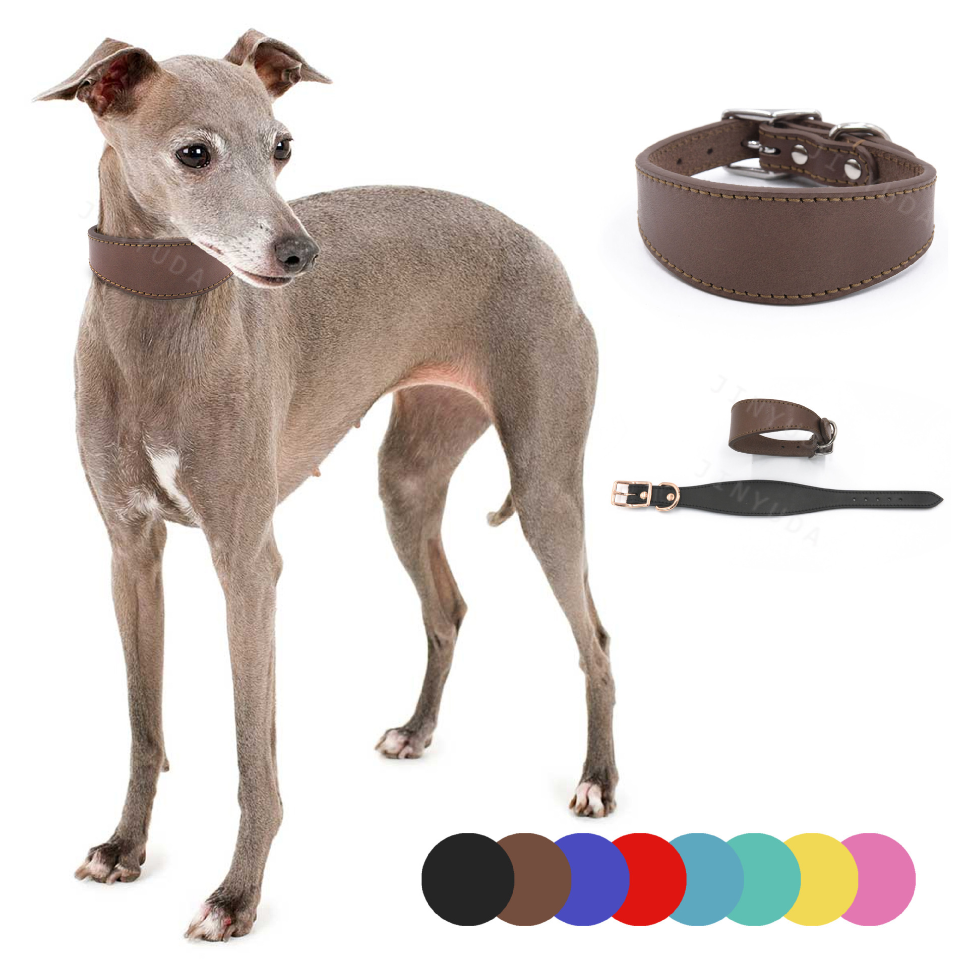 Pets-Pet Fashion Accessories