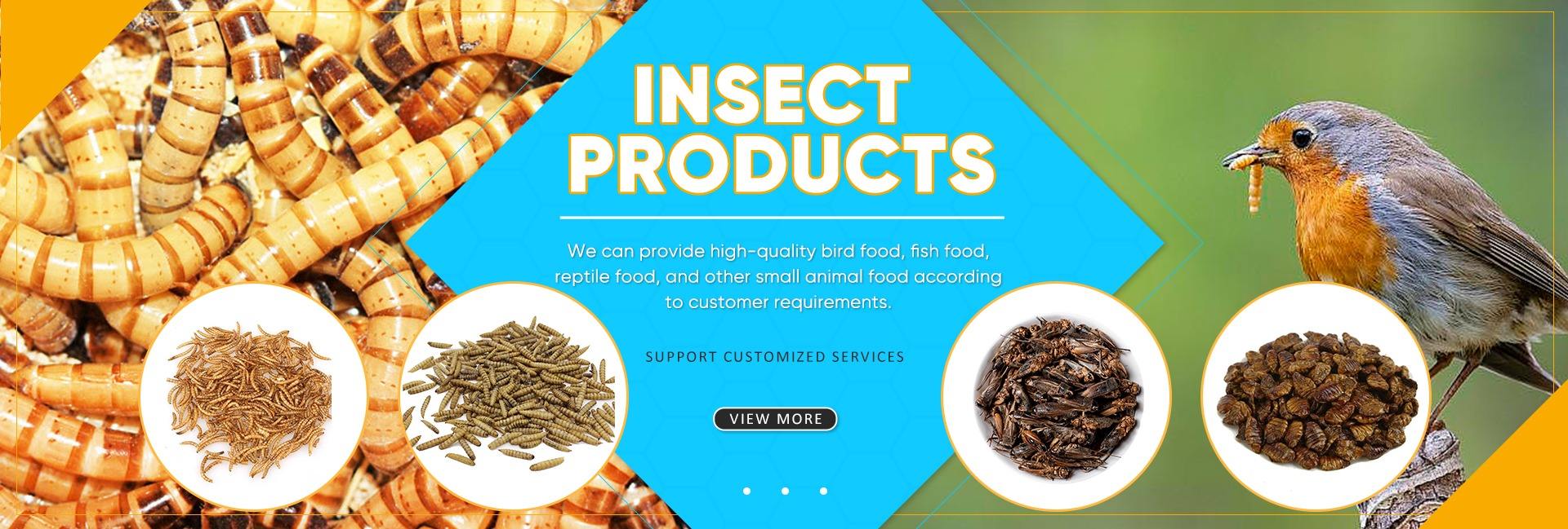 Hiworm Biotechnology Co., Ltd.