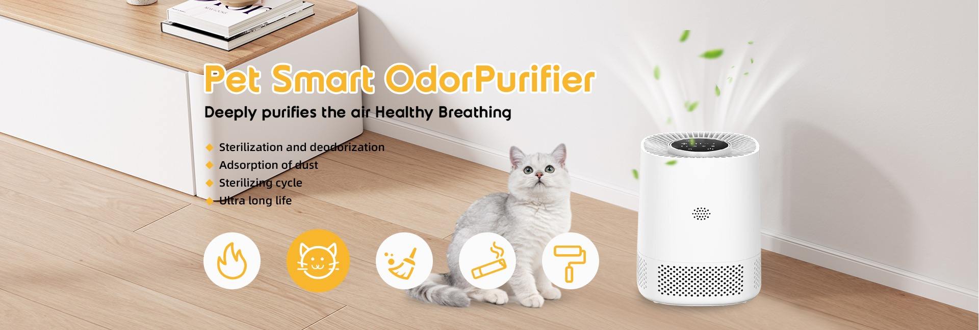 Ningbo Jia Chong International Trade Co., Ltd.