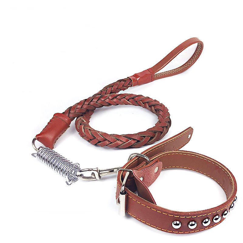 pet leash