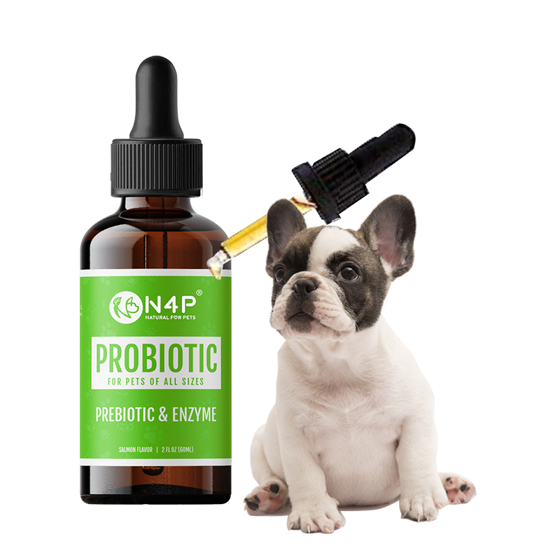 PET HEALTH SUPPLEMENTS