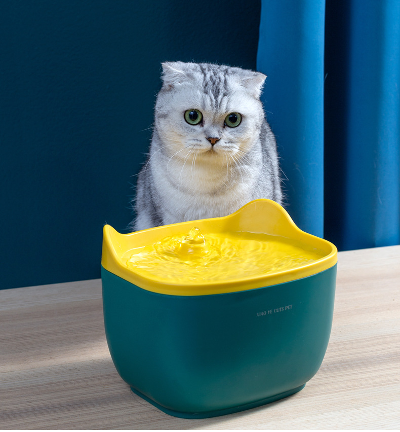 Pet Bowl Feeder