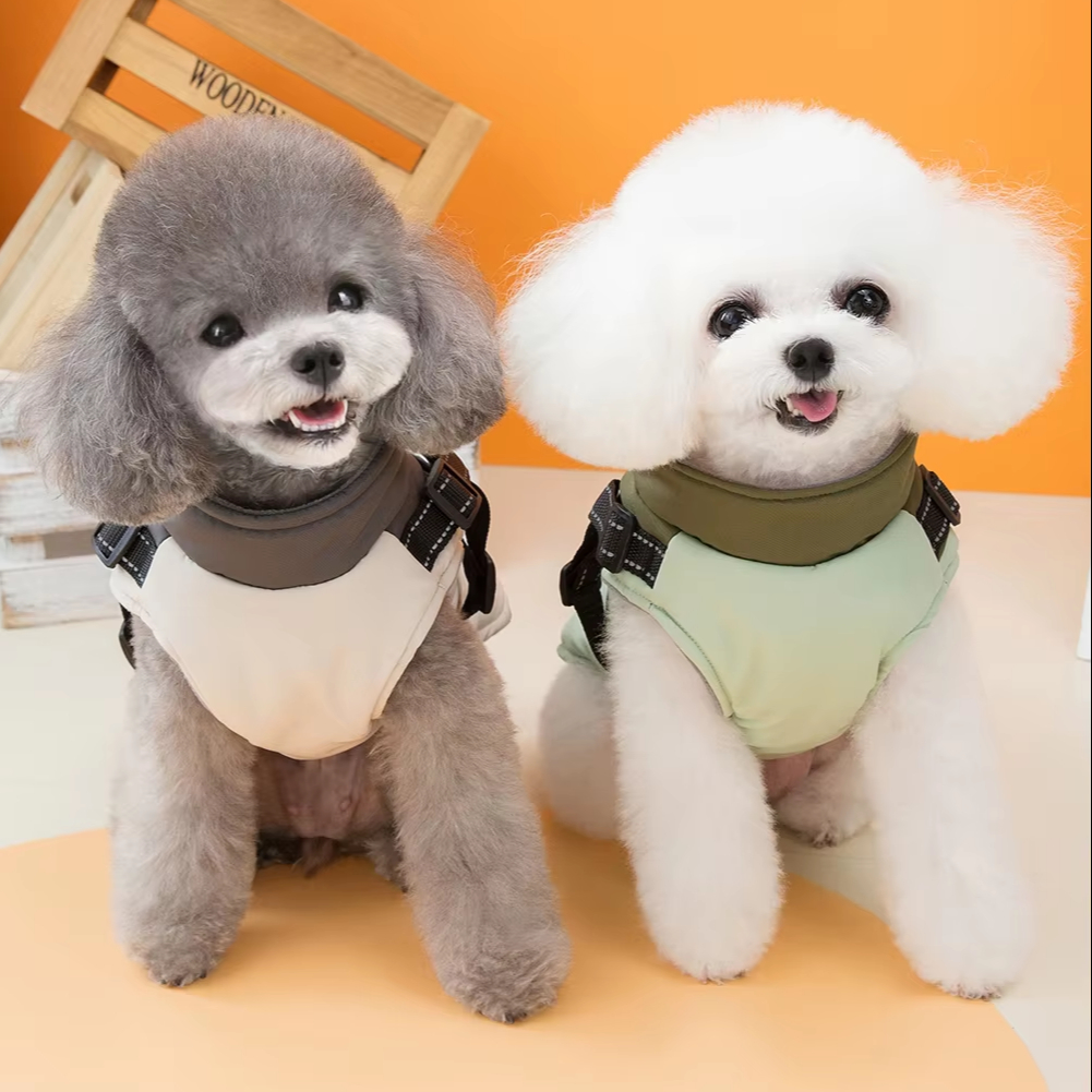 Pet Clothes