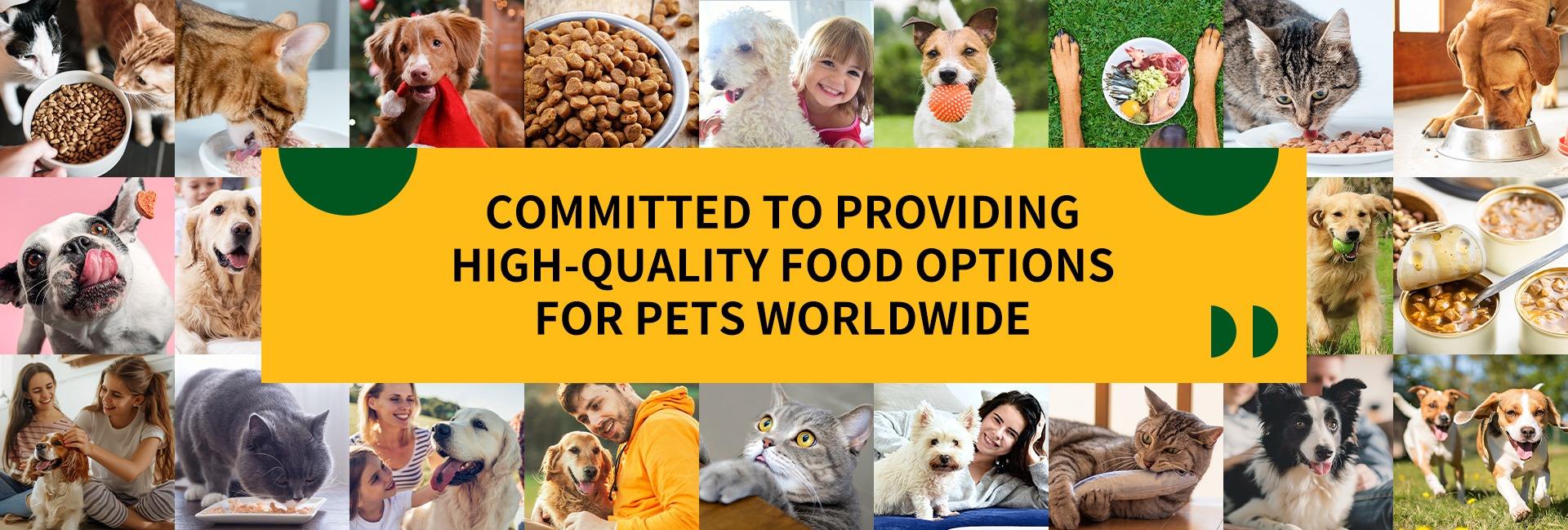 Tianjin Yaodeweilai Technology Co., Ltd.