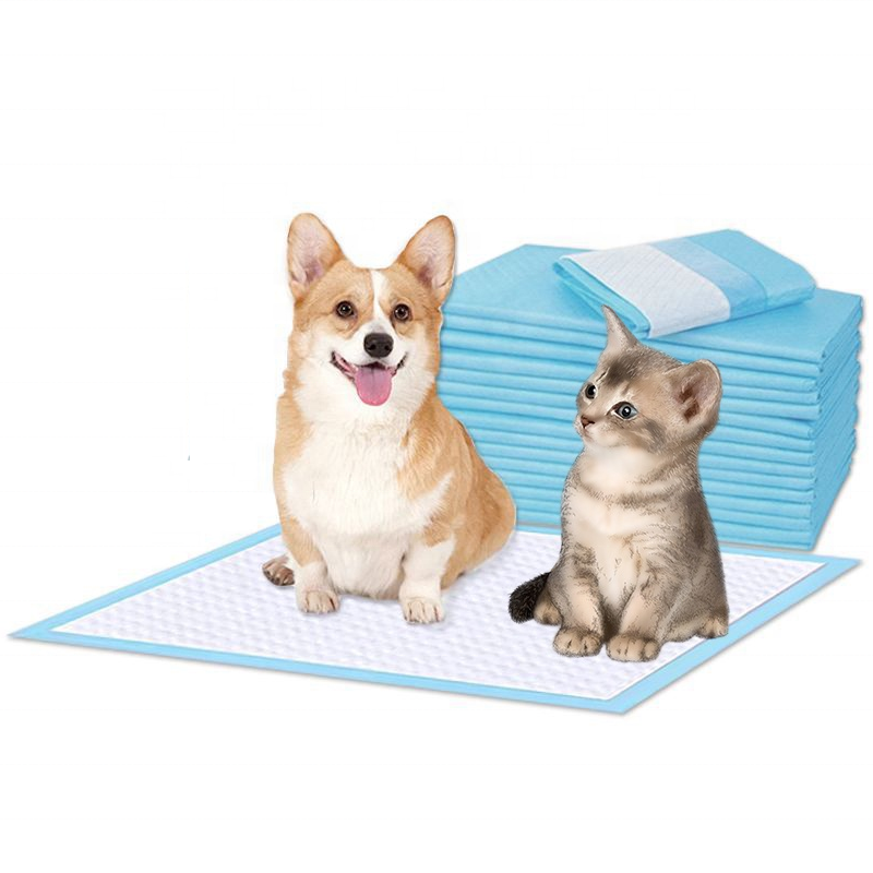 Pet Care Pads