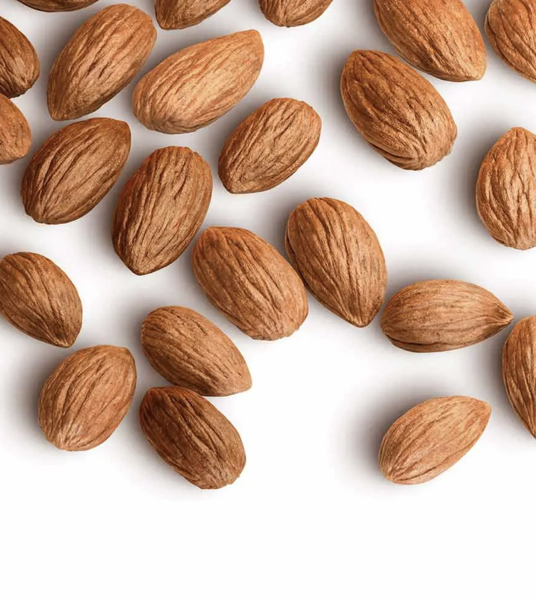 Food & Beverage Nuts & Kernels