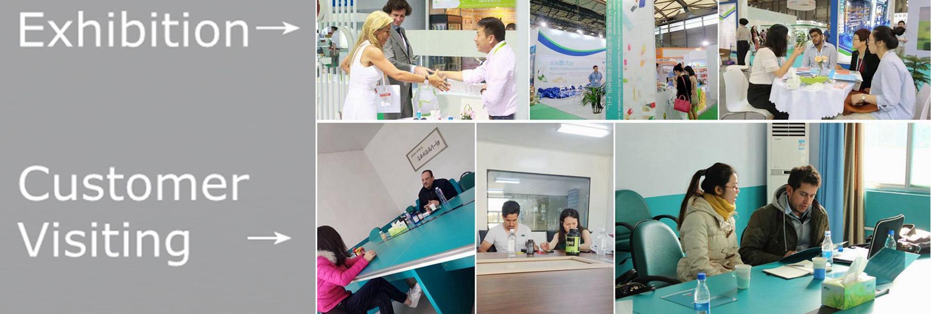 BXO Biotechnology LLC