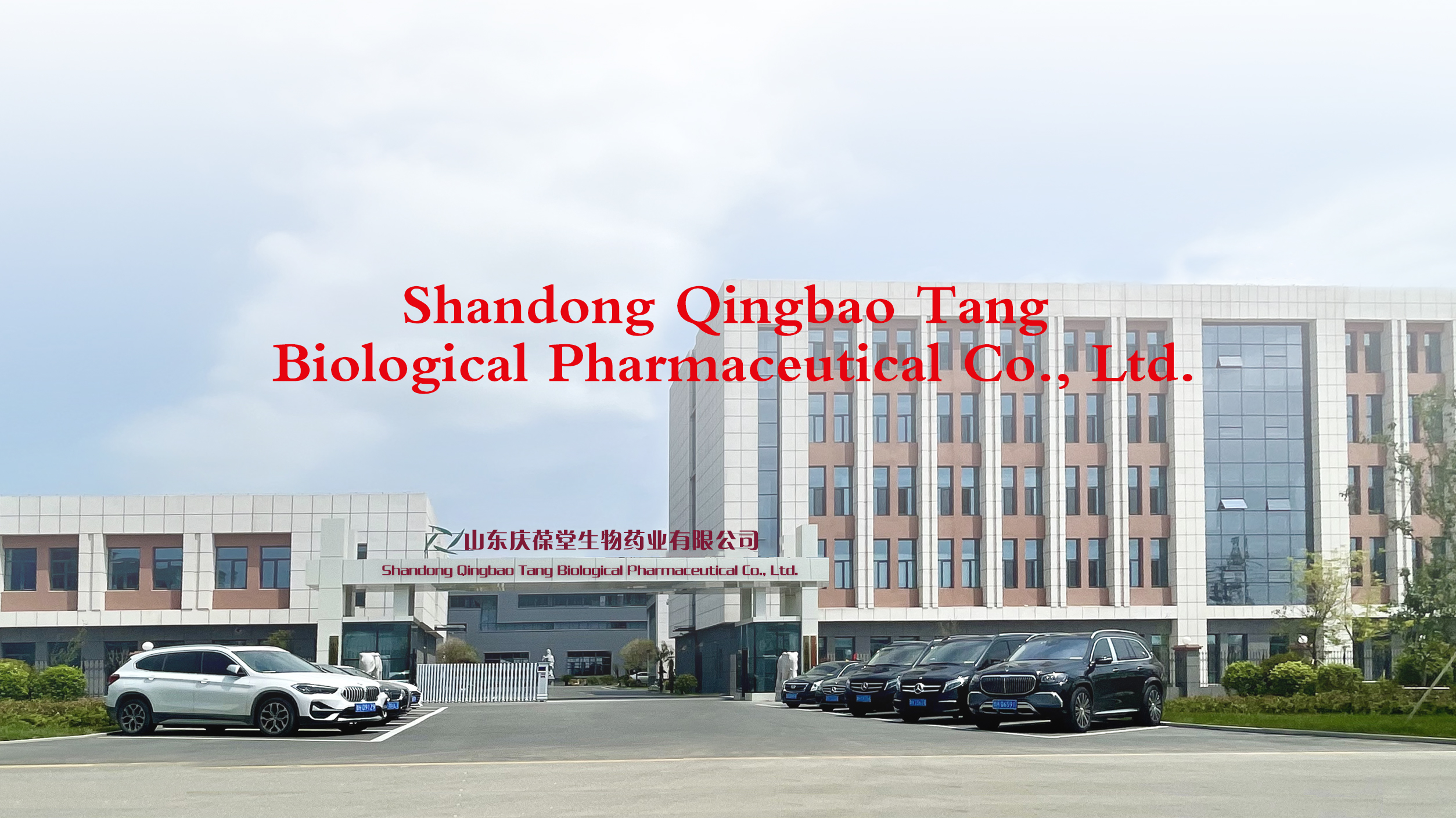 Supplier Album Image