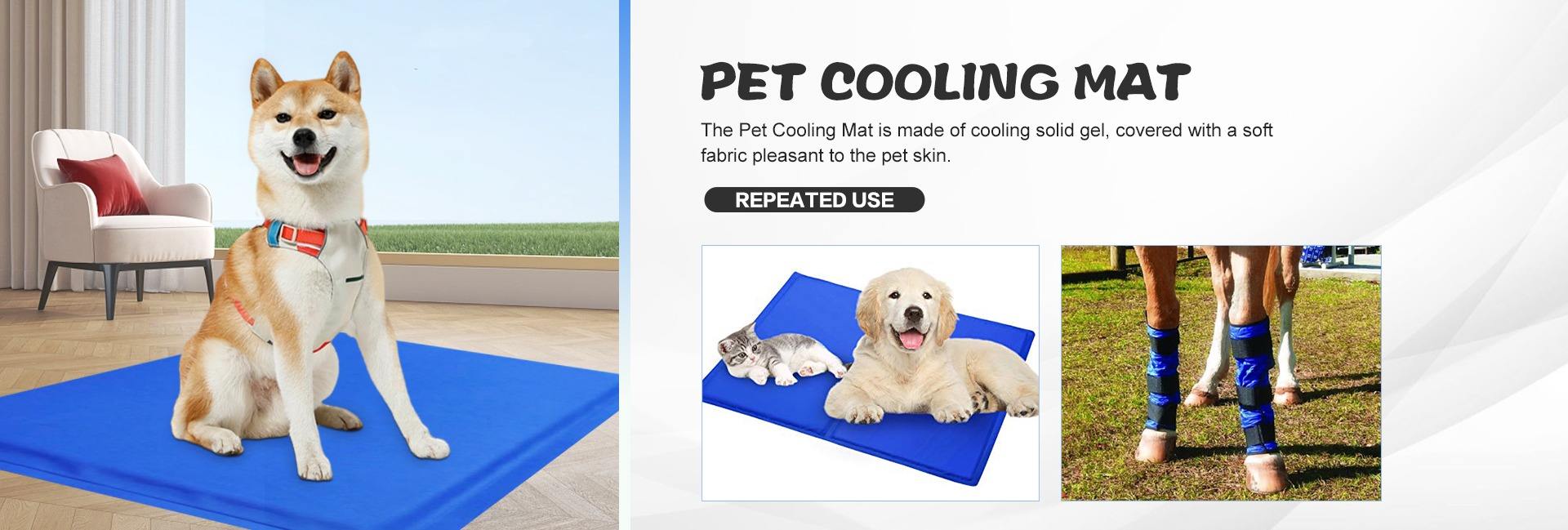 Shandong Lubing Medical Appliance Co., Ltd.