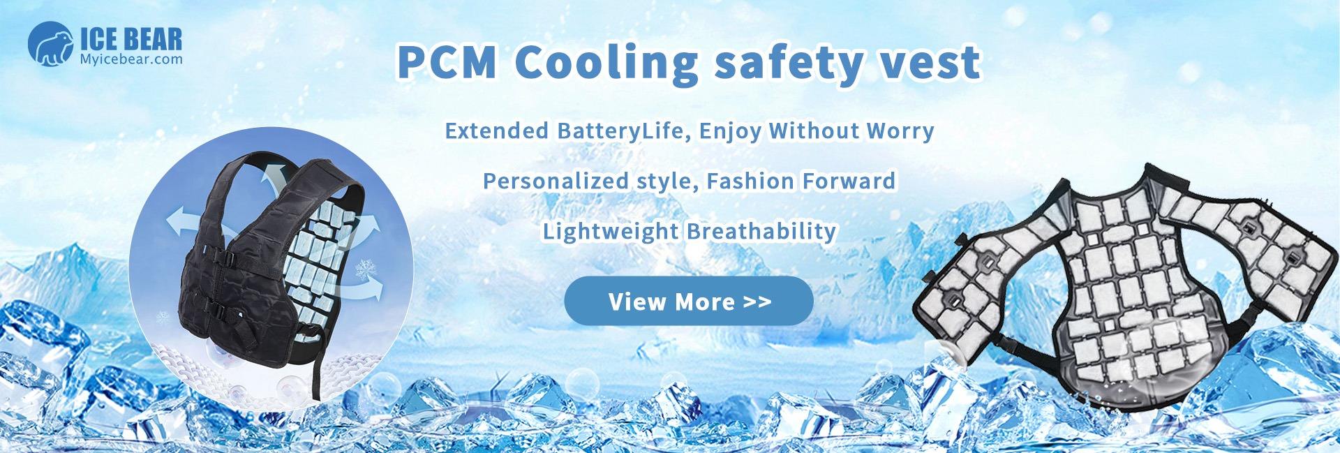 CGS INDUSTRIA COMPANY LIMITED