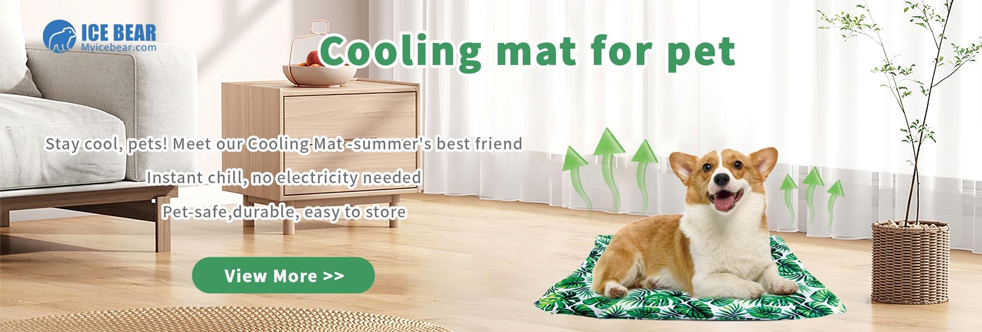 CGS INDUSTRIA COMPANY LIMITED