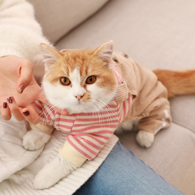 Lintunba Pet Apparel: Top-Tier OEM/ODM Pet Coats & Jackets for Global Brand Partners
