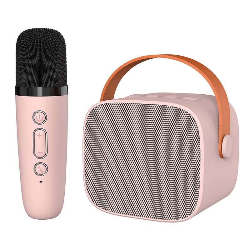 Tap into the Audio Blue Ocean: The Customization Opportunity of the 2026 Hot-Selling OEM Bluetooth Karaoke Speaker