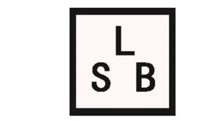 Guangzhou Lushangbo Trading Co., Ltd.