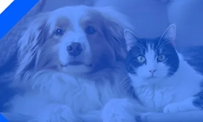 Nanyang Puxinnuo Technology Industrial Co., Ltd.