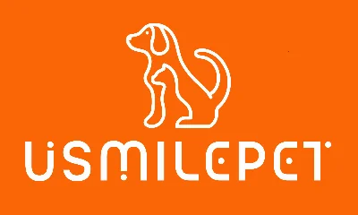 Dalian Usmile International Trading Co., Ltd.