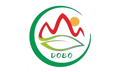 Ningbo Dongbo New Energy Co., Ltd.