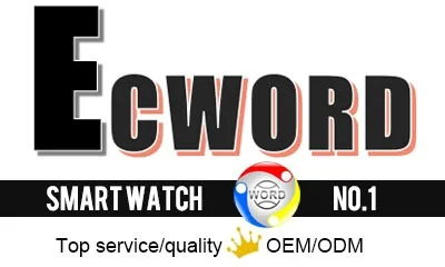 Shenzhen Ecword Technology Co., Ltd.