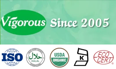 Changsha Vigorous-Tech Co., Ltd.